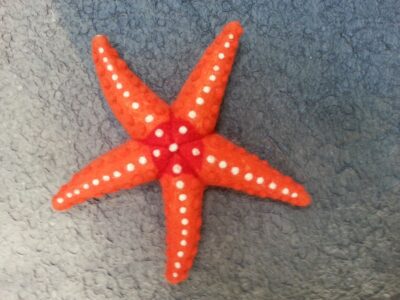 starfish1