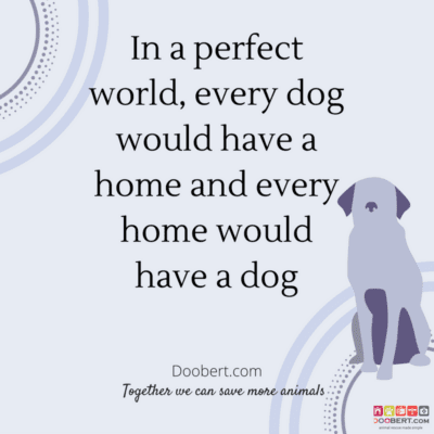 in-a-perfect-world-every-dog-would-have-a-home-and-every-home-would-have-a-dog