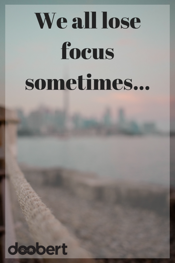 we all lose focus