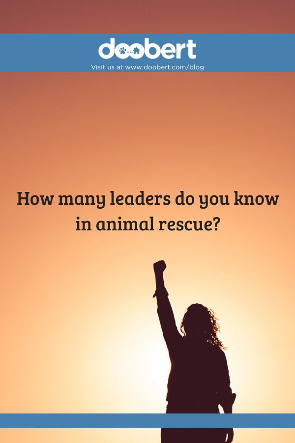 leaders in animal rescue