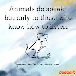 animals speak