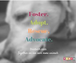 Foster Adopt Rescue Advocate