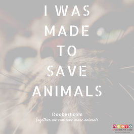 save animals