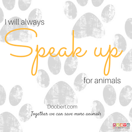 speak up for animals