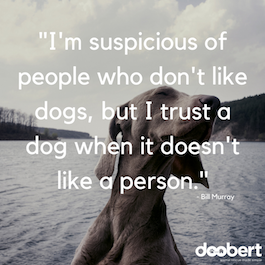 trust a dog