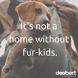 dog in bag fur-babies