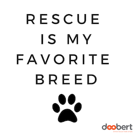 rescue breed