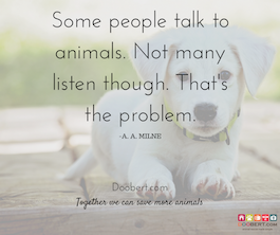 listen more than talk, dog on ground