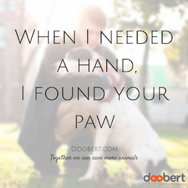 animal paw, dog hug