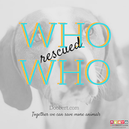 who rescued who