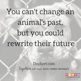 future, dog in cage
