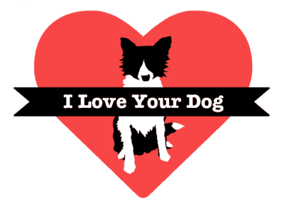 I love your dog