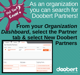 Search for doobert partners