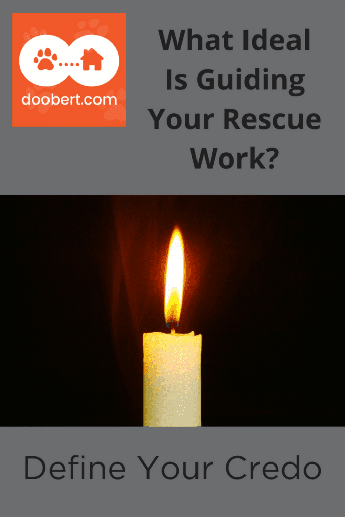 What Ideal Guides Your Rescue Work (picture - lit candle)