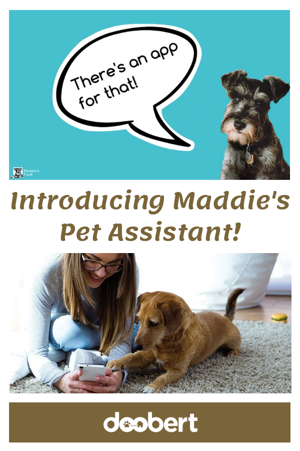 Maddie's Pet Assistant - MPA