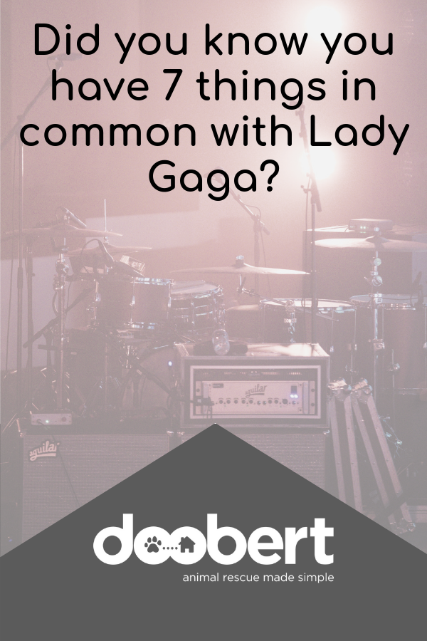 Did you know you have 7 things in common with Lady Gaga_