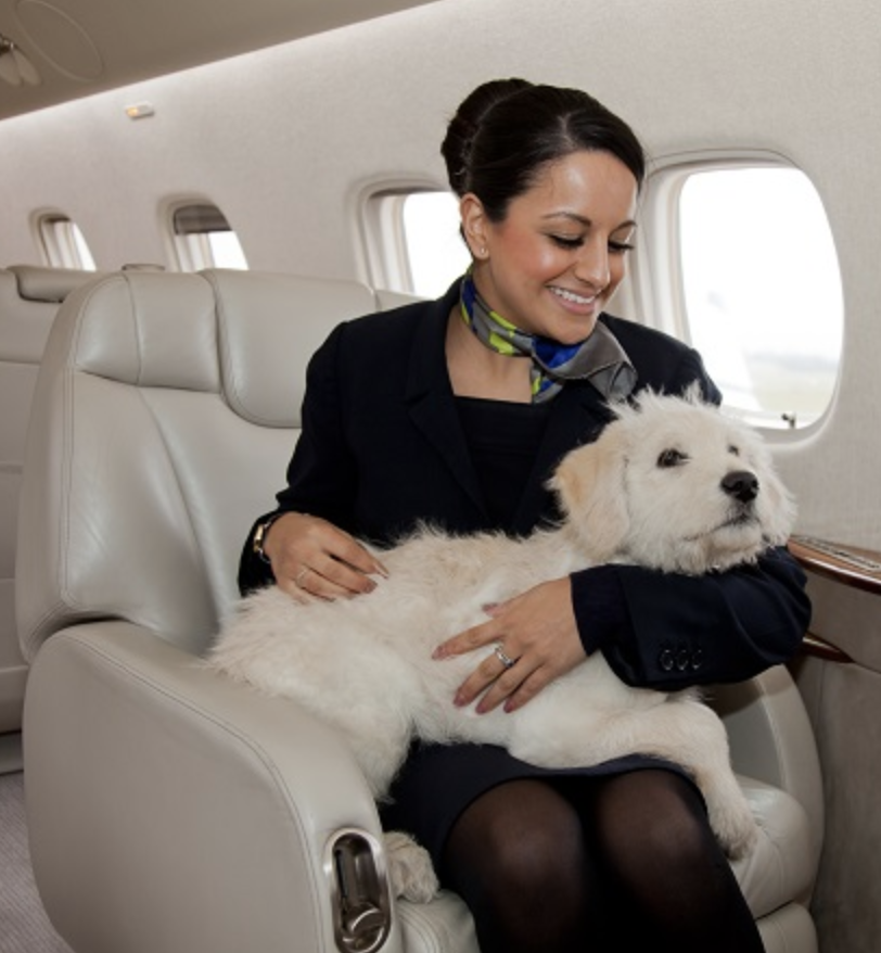 flight attendant with dog