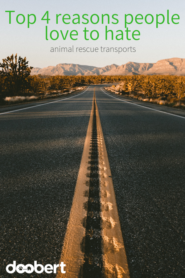 Top 4 reasons why people love to hate animal rescue transports