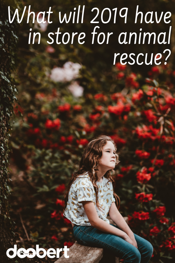 What will 2019 have in store for animal rescue_