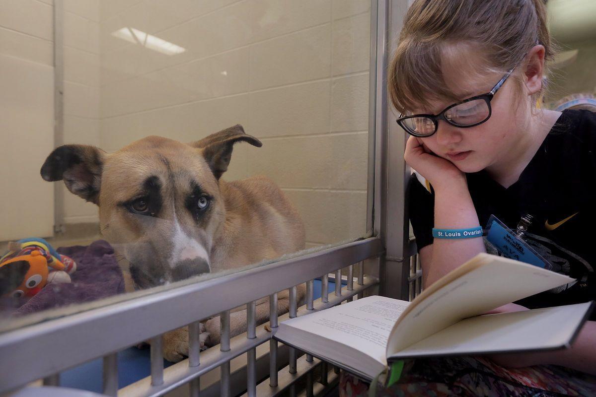 kids volunteering at animal shelter