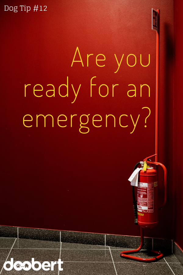Are you ready for an emergency_
