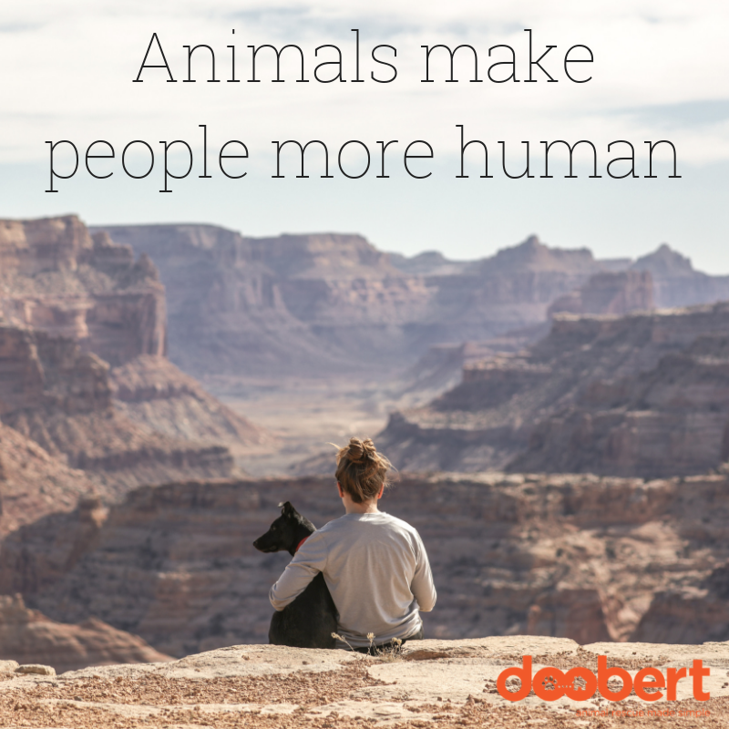 Animals make people more human
