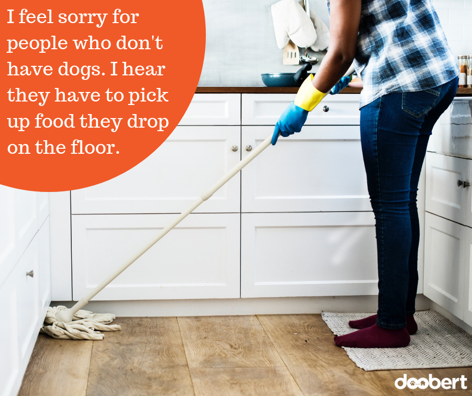 I feel sorry for people who don't have dogs. I hear they have to pick up food they drop on the floor.