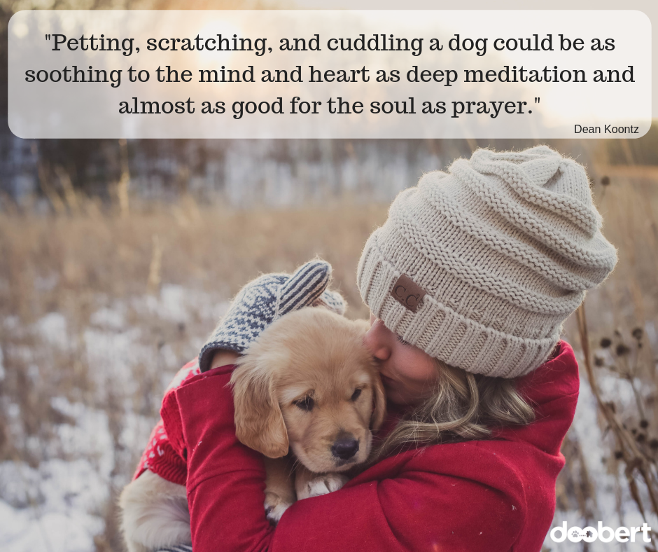 Petting, scratching, and cuddling a dog could be as soothing to the mind and heart as deep meditation and almost as good for the soul as prayer.