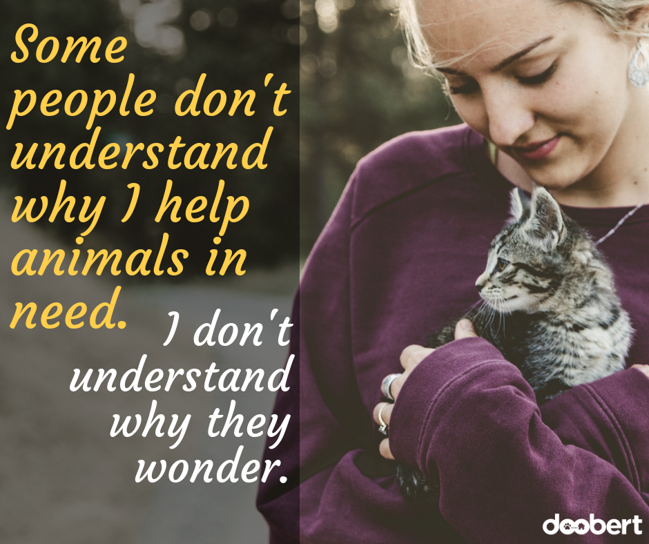 Some people don't understand why I help animals in need. I don't understand why they wonder.