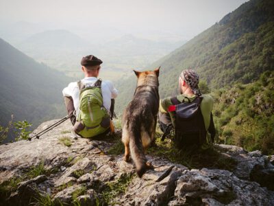 dog hiking