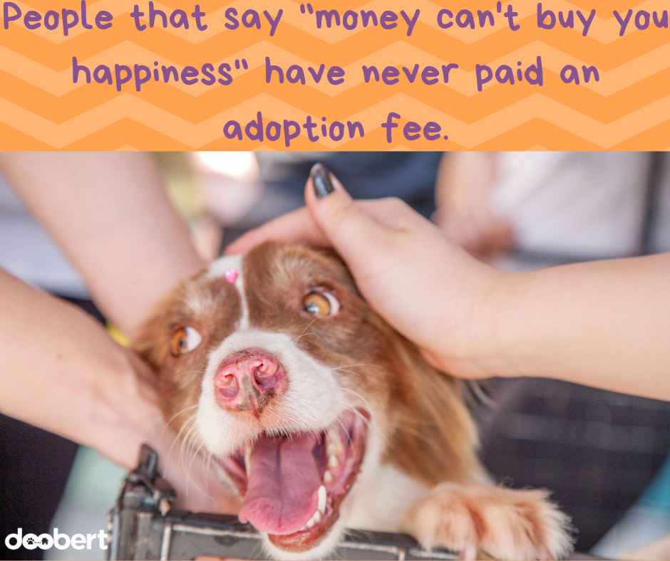People that say money can't buy you happiness have never paid an adoption fee.