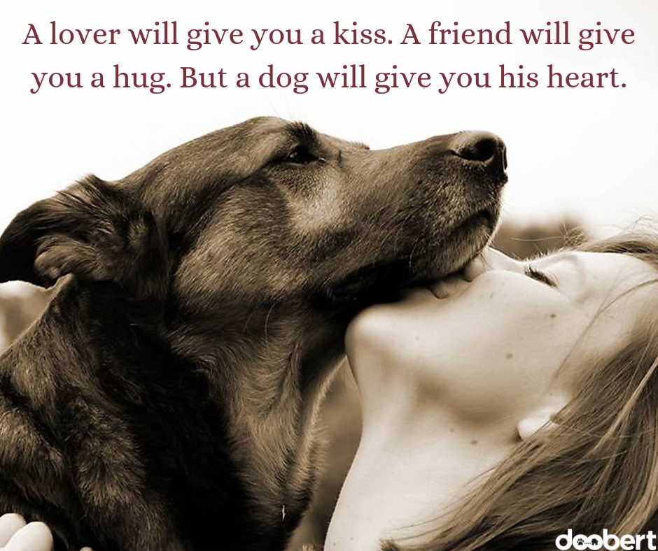 A lover will give you a kiss. A friend will give you a hug. But a dog will give you his heart.
