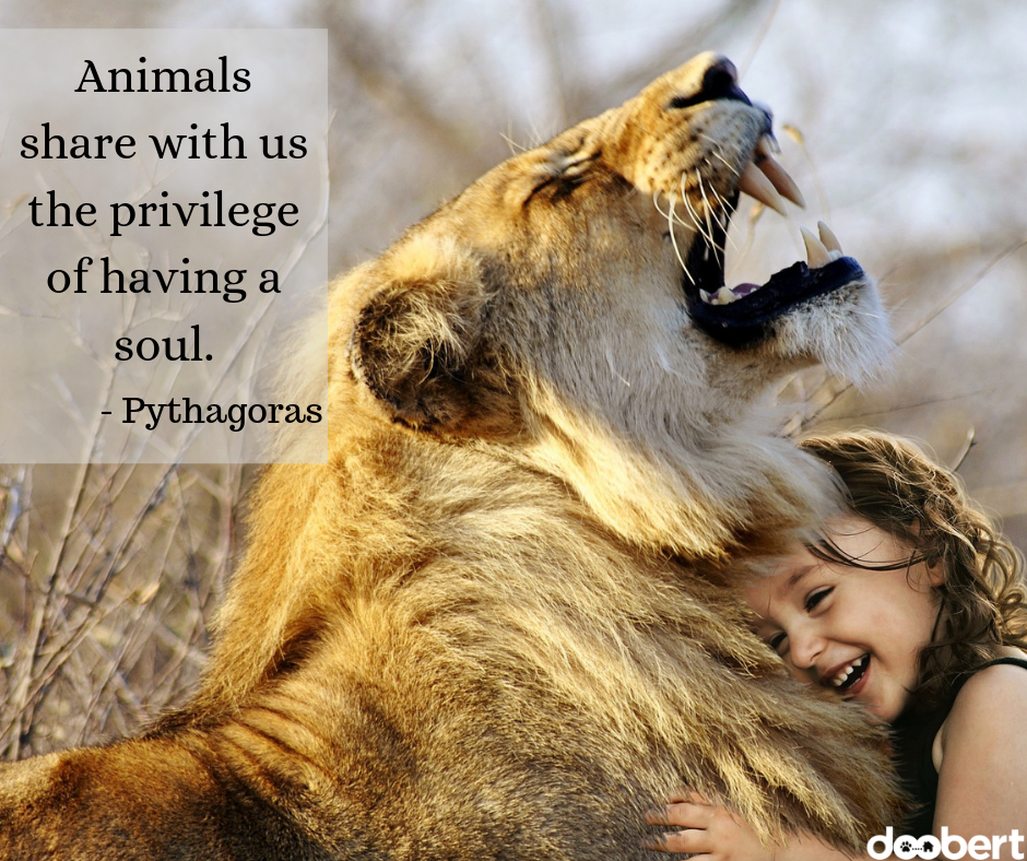 Animals share with us the privilege of having a soul - Pythagoras