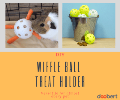 Wiffle Ball Treat Holder