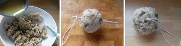 Homemade Bird Feeder Suet Cakes