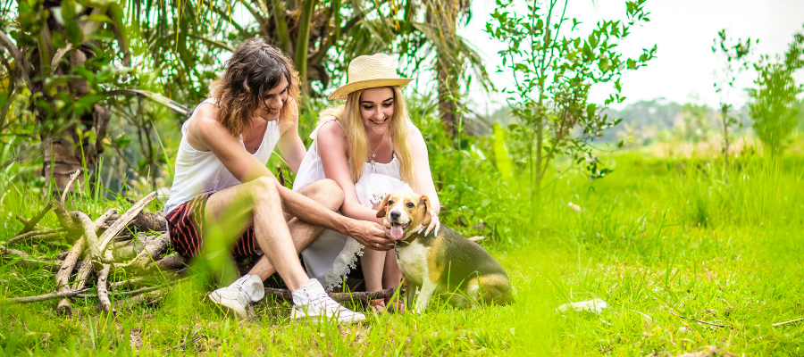 people showing kindness to animals