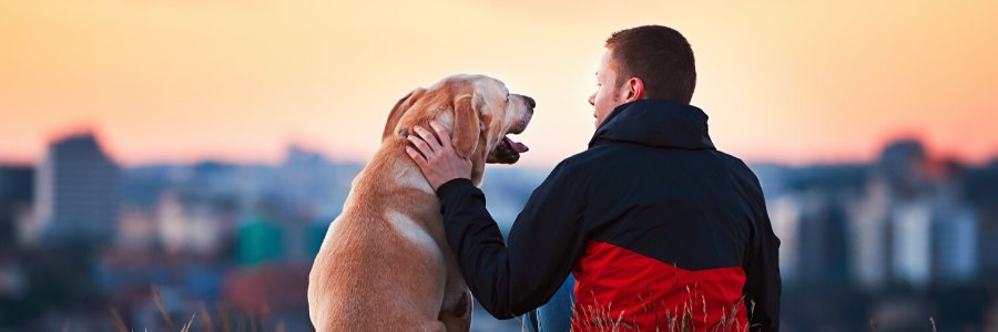 5 Reasons Why Volunteering at an Animal Shelter Is Good for the Soul