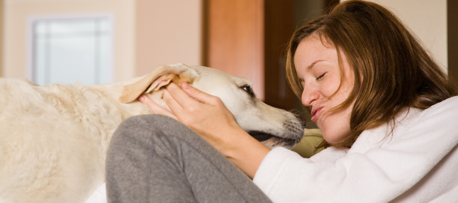 National Awkward Moments Day: 8 Awkward Moments All Dog Owners Can Relate To