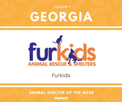FB 09. Furkids_Shelter of the Week