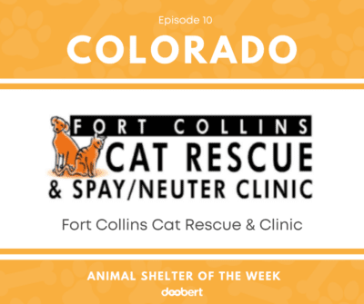 FB 10. Fort Collins Cat Rescue & Clinic_Shelter of the Week