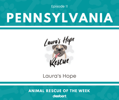 FB 11. Laura's Hope_Animal Rescue of the Week