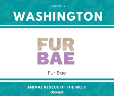 FB 12. FUR BAE_Animal Rescue of the Week