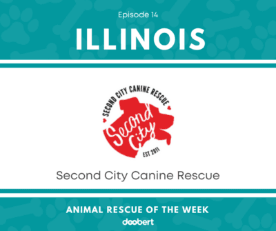FB 14. Second City Canine Rescue_Animal Rescue of the Week