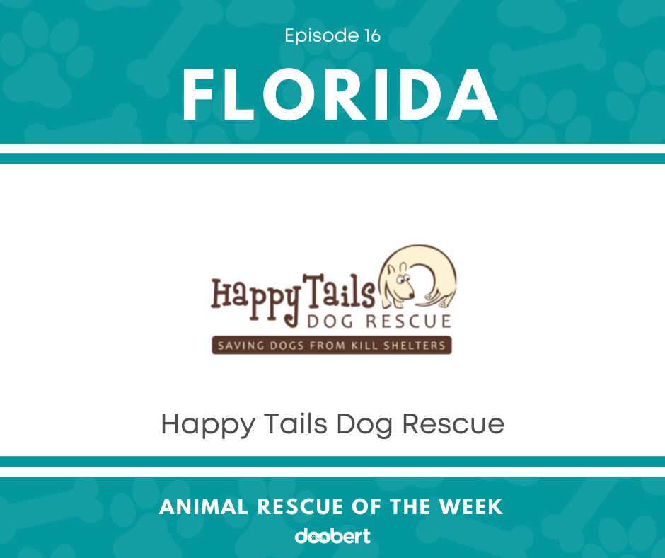 FB 16. Happy Tails Dog Rescue_Animal Rescue of the Week