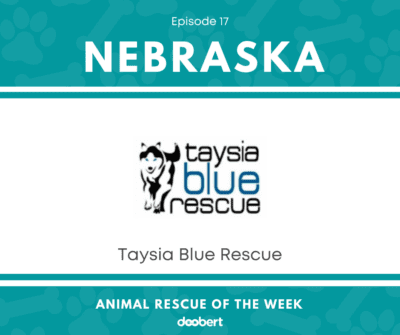 FB 17. Taysia Blue Rescue_Animal Rescue of the Week