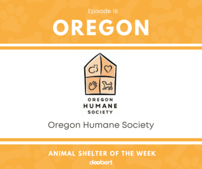 FB 18. Oregon Humane Society_Animal Shelter of the Week