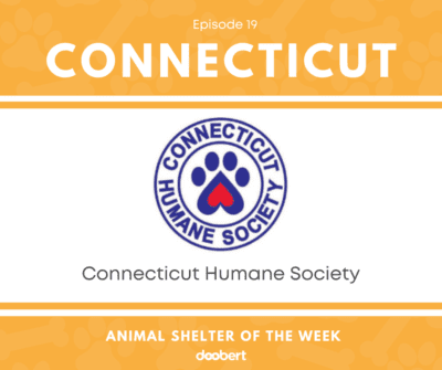 FB 19. Connecticut Humane Society_Animal Shelter of the Week