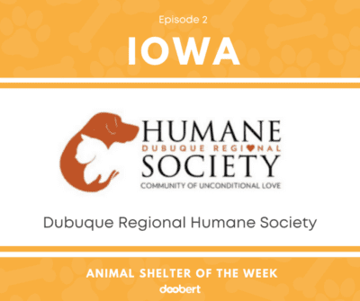 FB 2. Dubuque Regional Humane Society_Shelter of the Week
