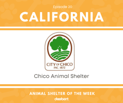FB 20. Chico Animal Shelter_Animal Shelter of the Week