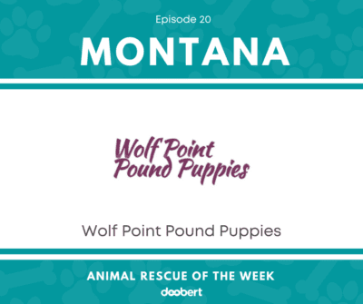 FB 20. Wolf Point Pound Puppies_Animal Rescue of the Week